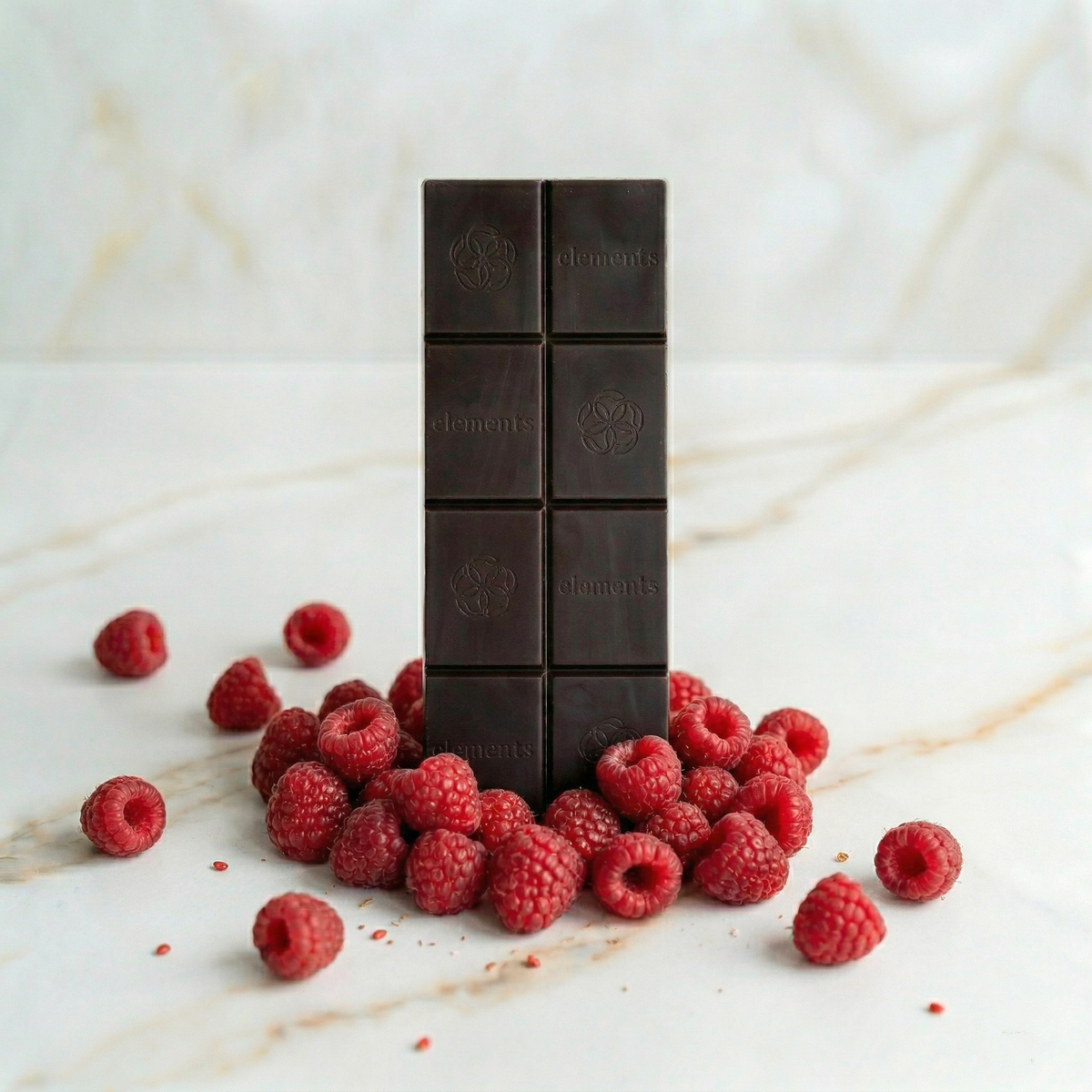 Elements - Raspberry Dark Chocolate Bar | Vegan Organic 1.8oz