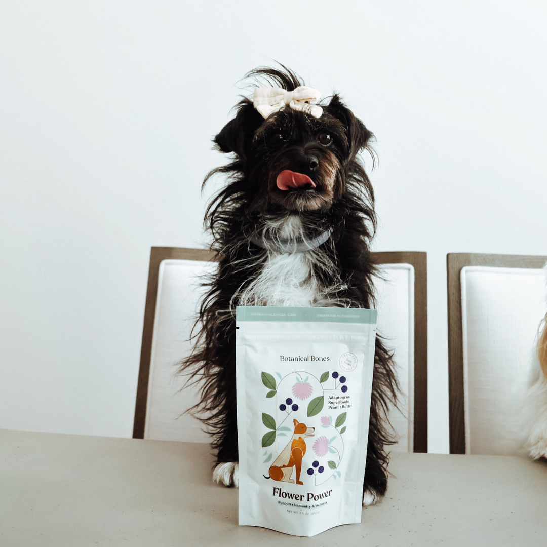 Botanical Bones - Flower Power Cookies - All Natural, Organic Dog Treats 5oz