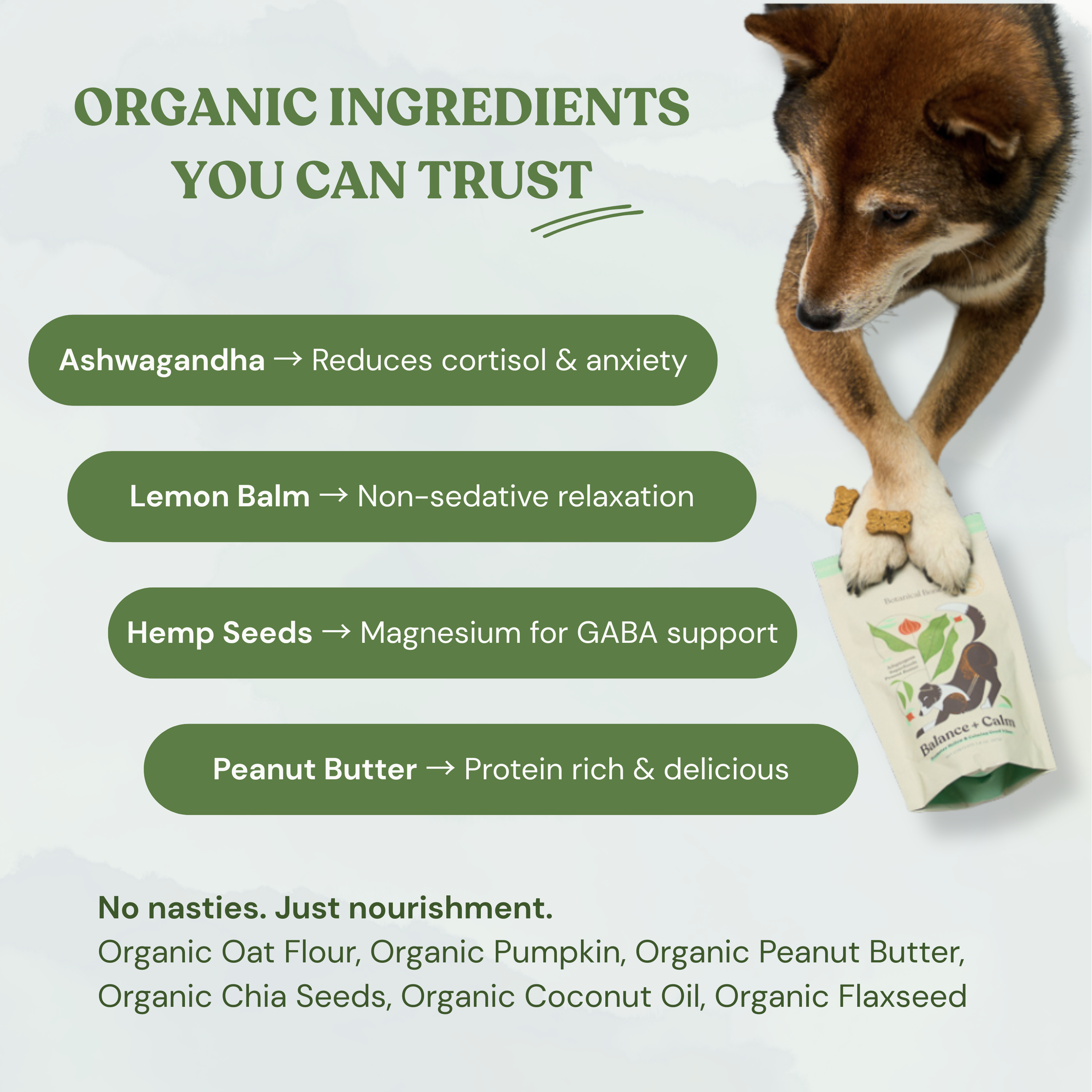 Botanical Bones - Balance + Calm Cookies - All Natural, Organic Dog Treats 5oz