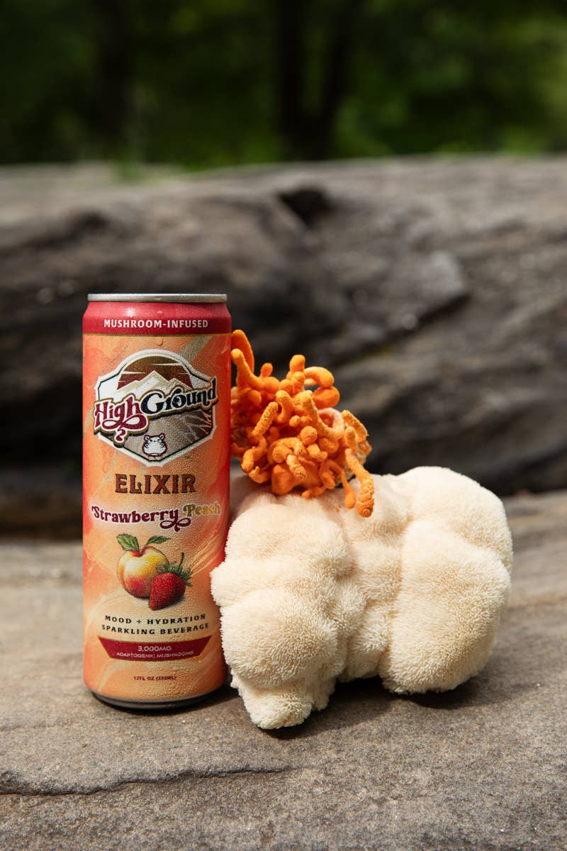 High Ground Elixir Mushroom Seltzer - Strawberry Peach 12oz