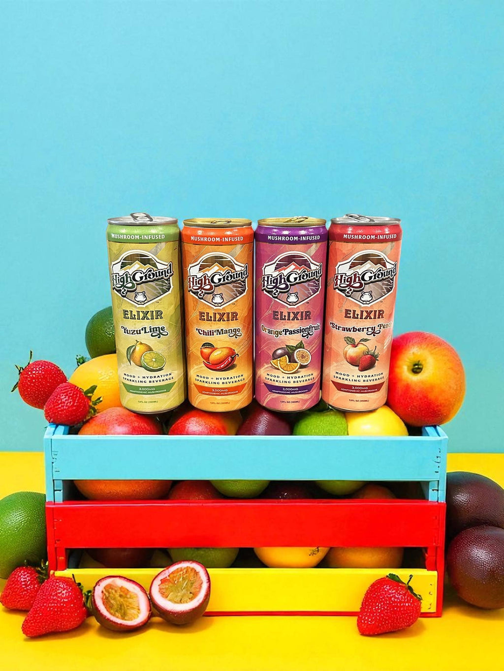 High Ground Elixir Mushroom Seltzer - Orange Passionfruit 12oz