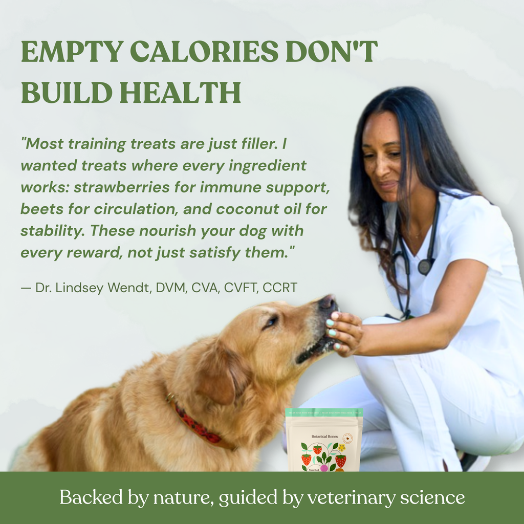 Botanical Bones - Love Bites - Organic Dog Treats, Strawberry & Peanut Butter 5oz