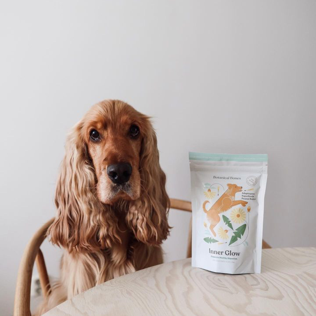 Botanical Bones Inner Glow Cookies - All Natural, Organic Dog Treats 5oz