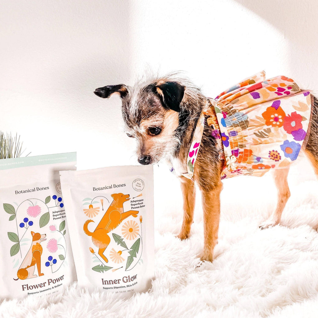 Botanical Bones Inner Glow Cookies - All Natural, Organic Dog Treats 5oz