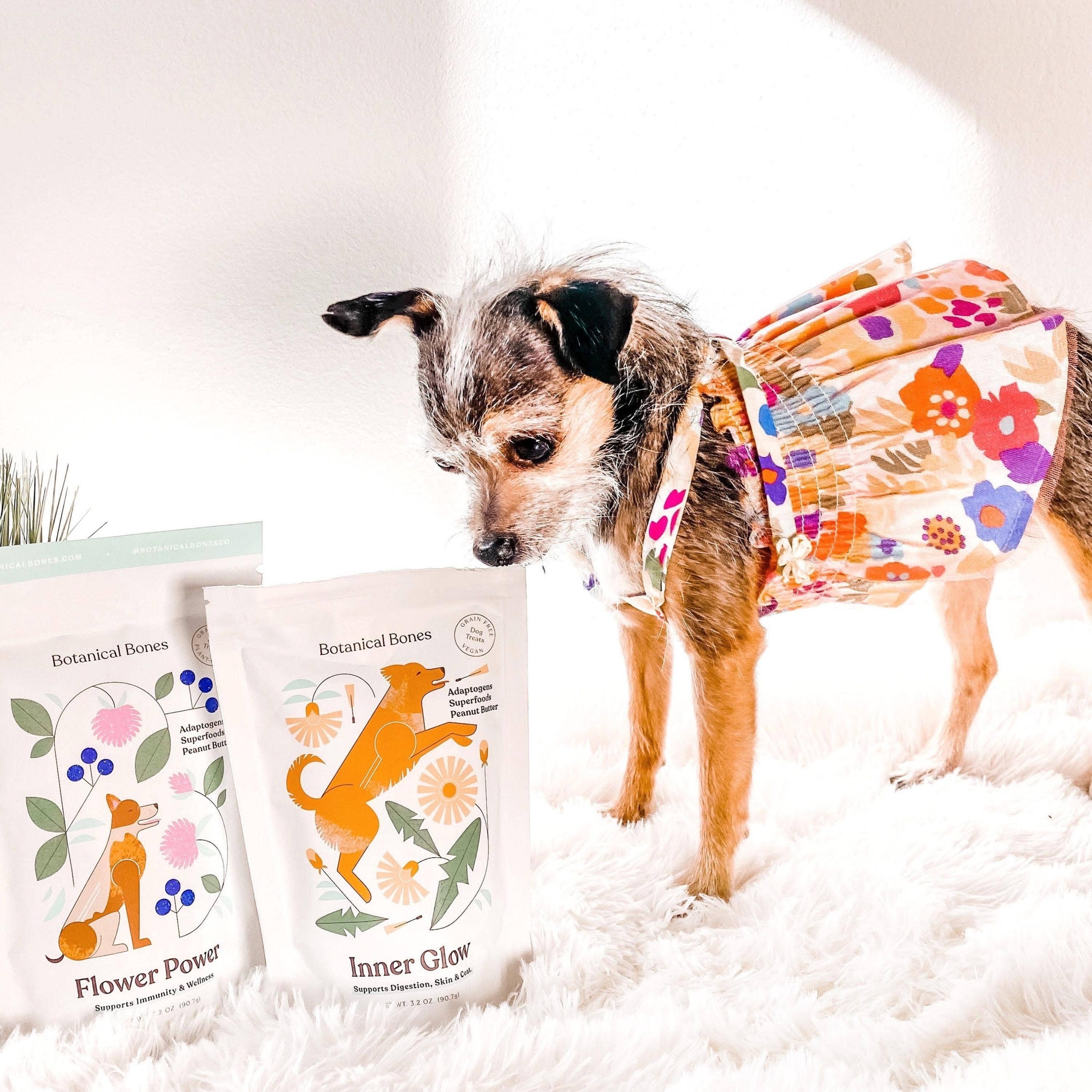 Botanical Bones Inner Glow Cookies - All Natural, Organic Dog Treats 5oz