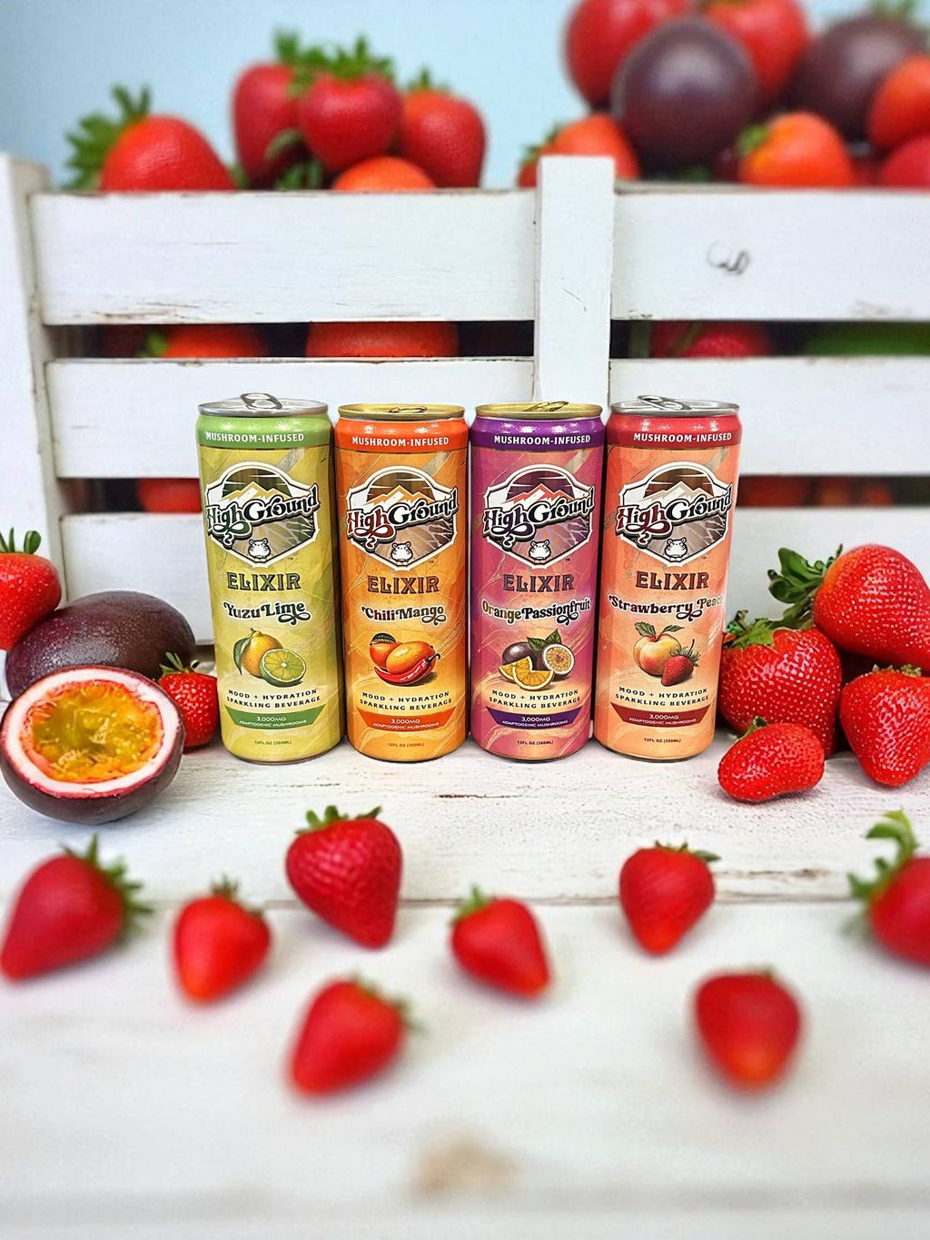 High Ground Elixir Mushroom Seltzer - Orange Passionfruit 12oz