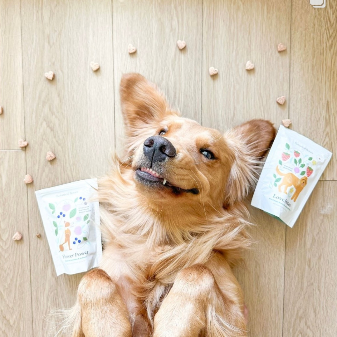 Botanical Bones - Love Bites - Organic Dog Treats, Strawberry & Peanut Butter 5oz