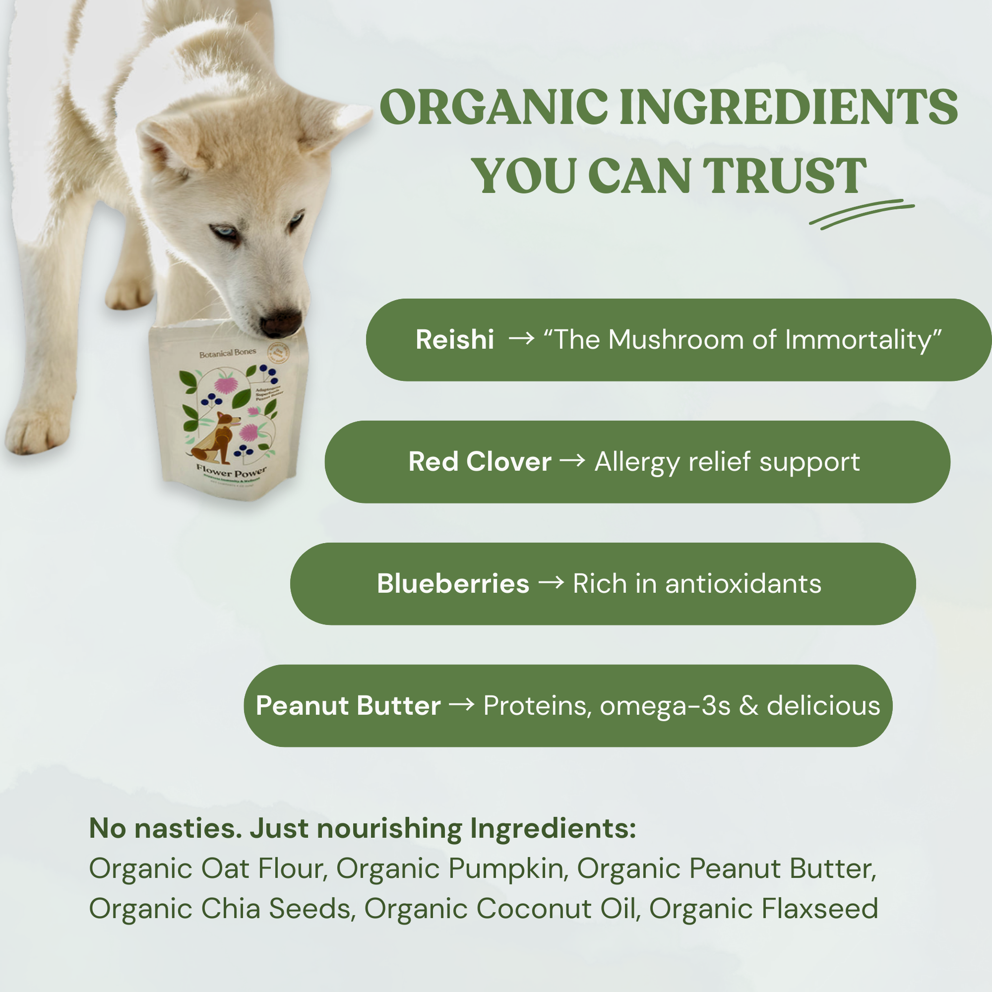 Botanical Bones - Flower Power Cookies - All Natural, Organic Dog Treats 5oz