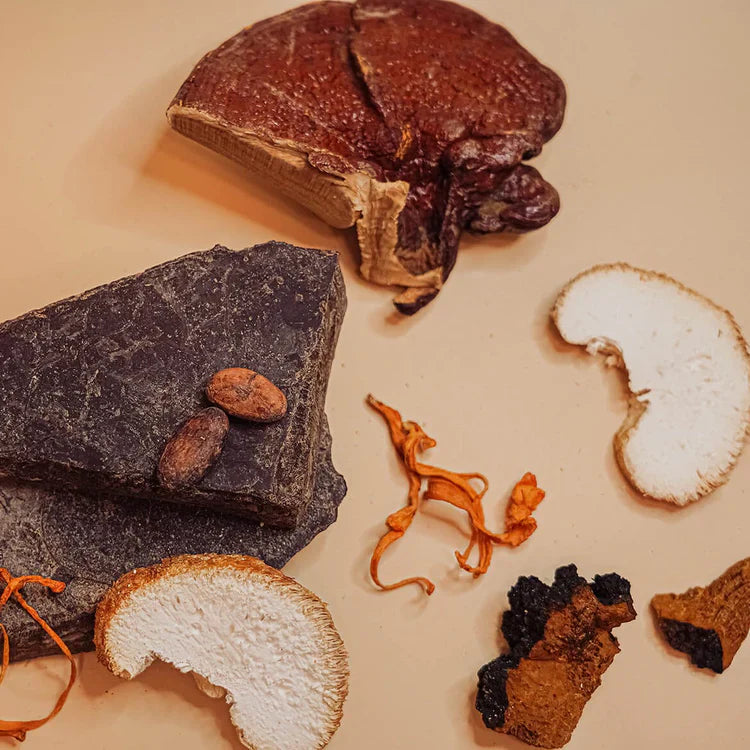 Fungible Chocolates® - Functional Cordyceps Mushroom Dark Chocolate Bar for Energy (85% cacao)