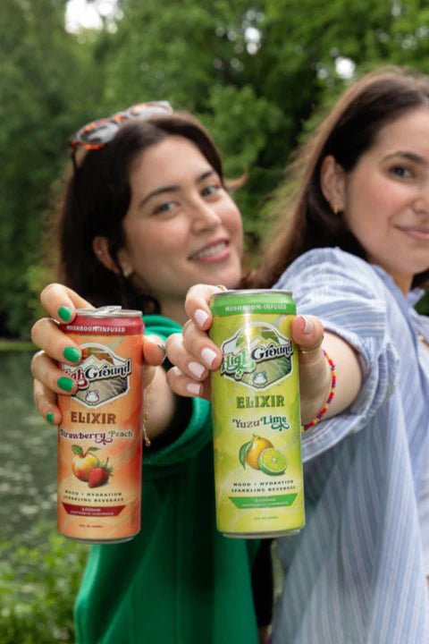 High Ground Elixir Mushroom Seltzer - Yuzu Lime 12oz