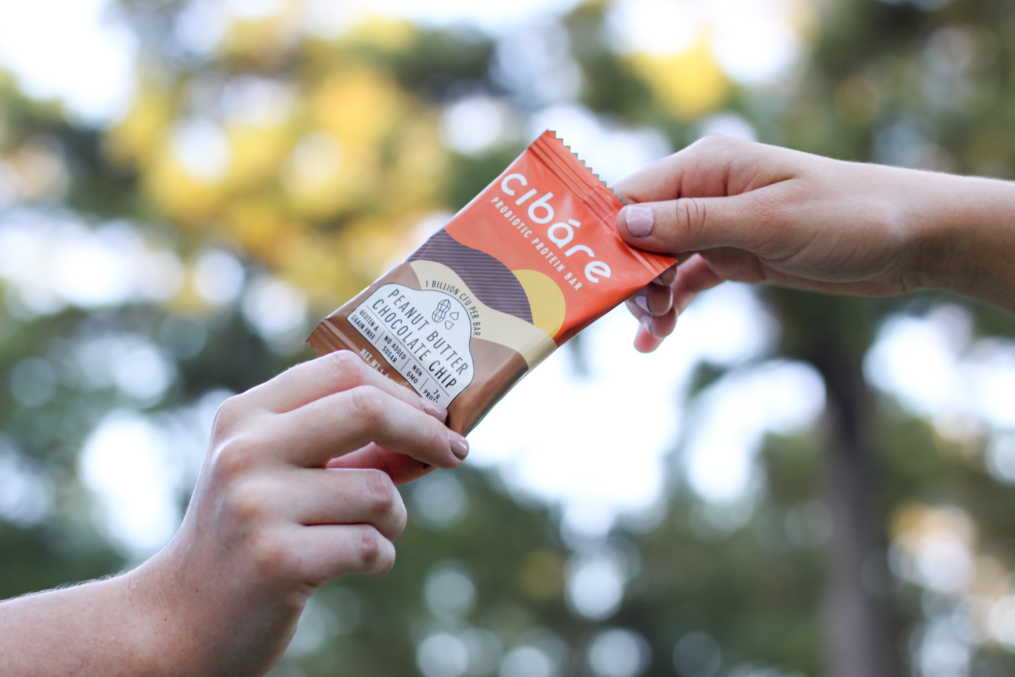 Cibare Foods - Peanut Butter Chocolate Chip Probiotic Protein Bar