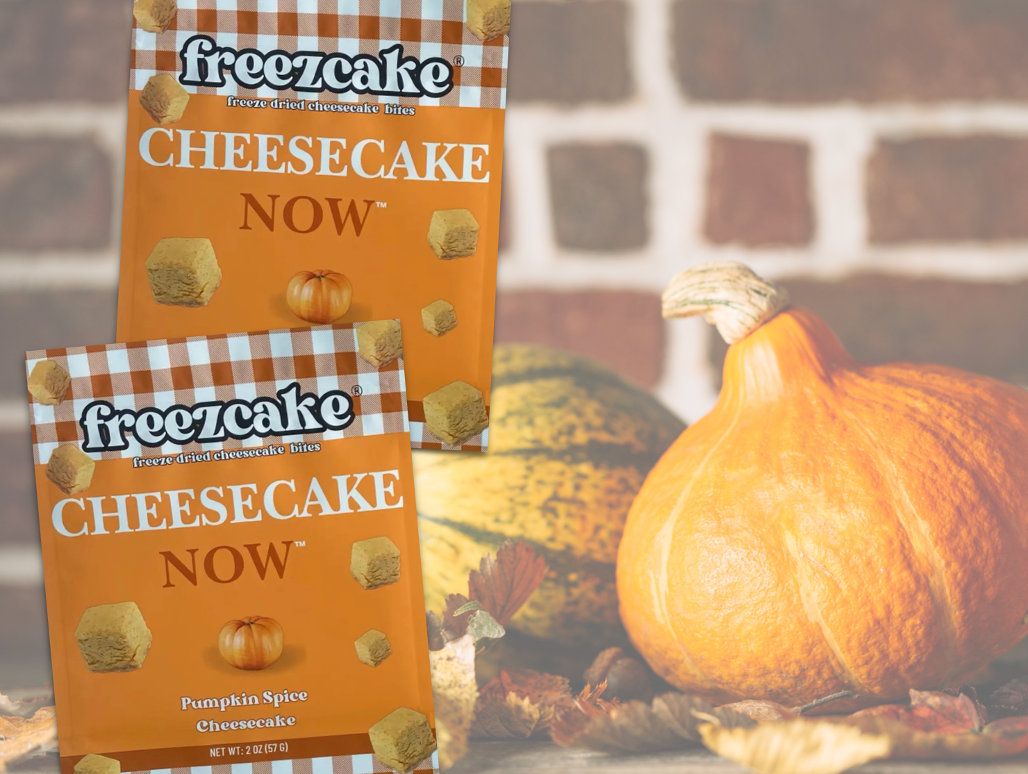 Freezcake Pumpkin Spice Freeze-dried Cheesecake 2oz