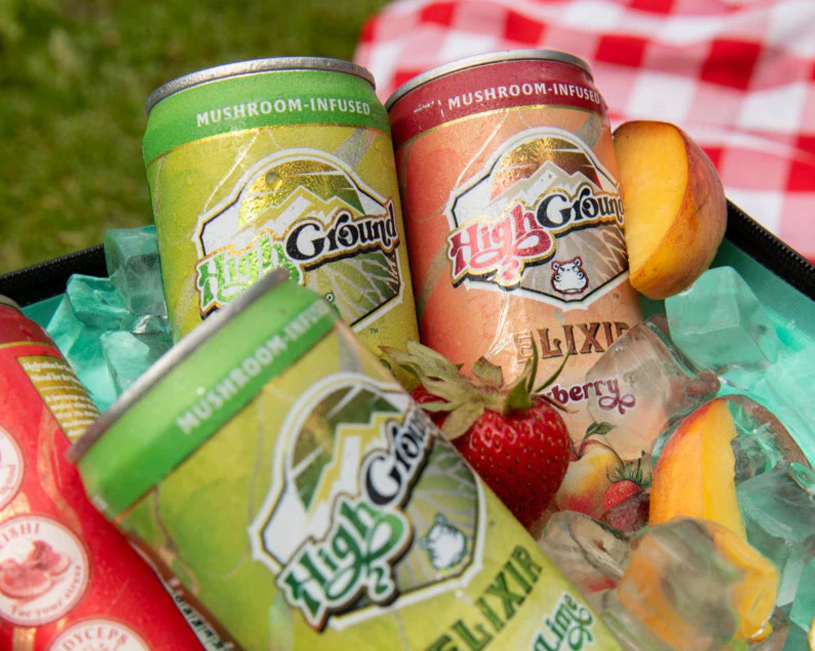 High Ground Elixir Mushroom Seltzer - Yuzu Lime 12oz