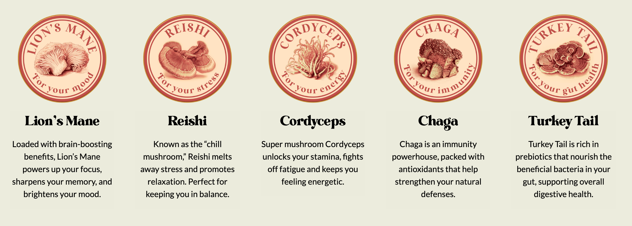 High Ground Elixir Mushroom Seltzer - Strawberry Peach 12oz