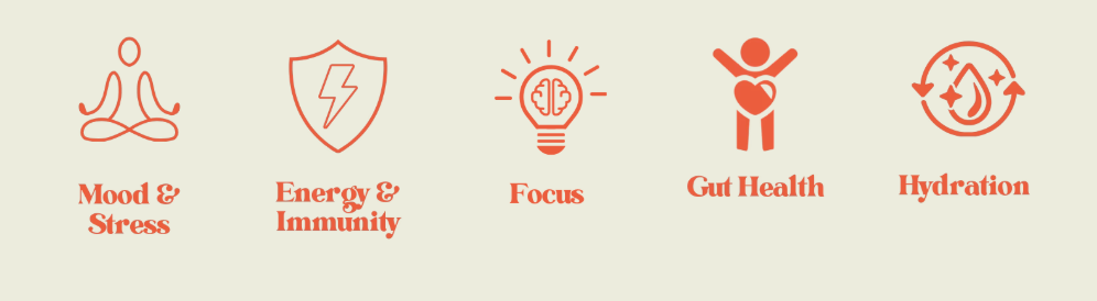 High Ground Elixir Mushroom Seltzer - Strawberry Peach 12oz