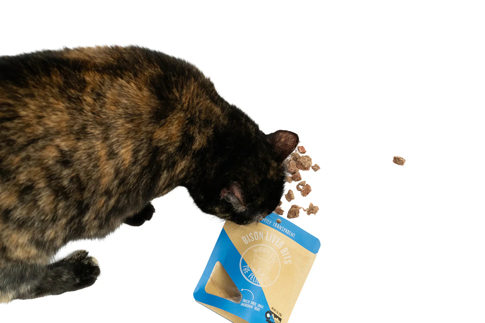 Cat Toys with Treats- 5 pcs Bread Cat Toy Set