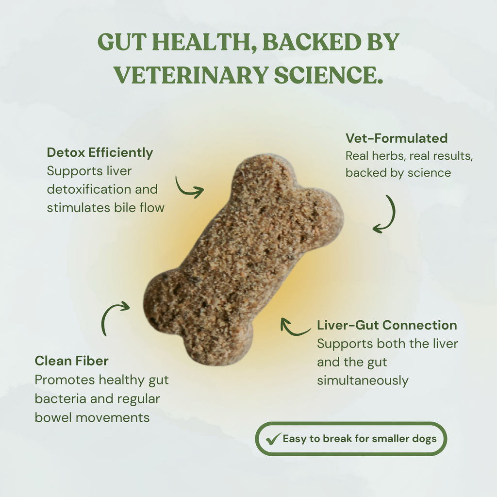 Botanical Bones Inner Glow Cookies - All Natural, Organic Dog Treats 5oz