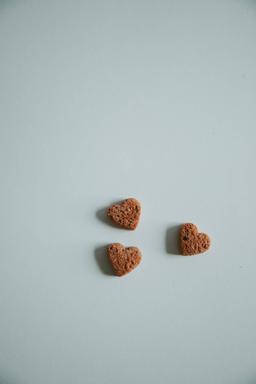 Botanical Bones - Love Bites - Organic Dog Treats, Strawberry & Peanut Butter 5oz