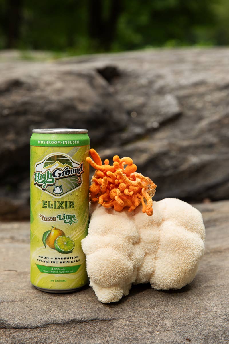 High Ground Elixir Mushroom Seltzer - Yuzu Lime 12oz