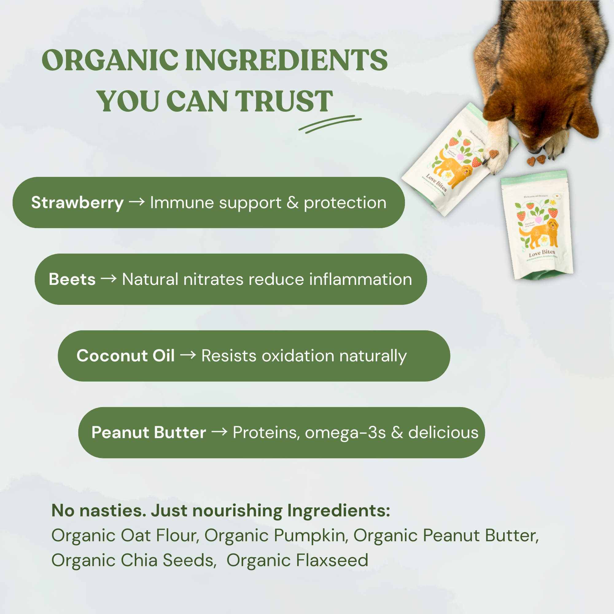 Botanical Bones - Love Bites - Organic Dog Treats, Strawberry & Peanut Butter 5oz