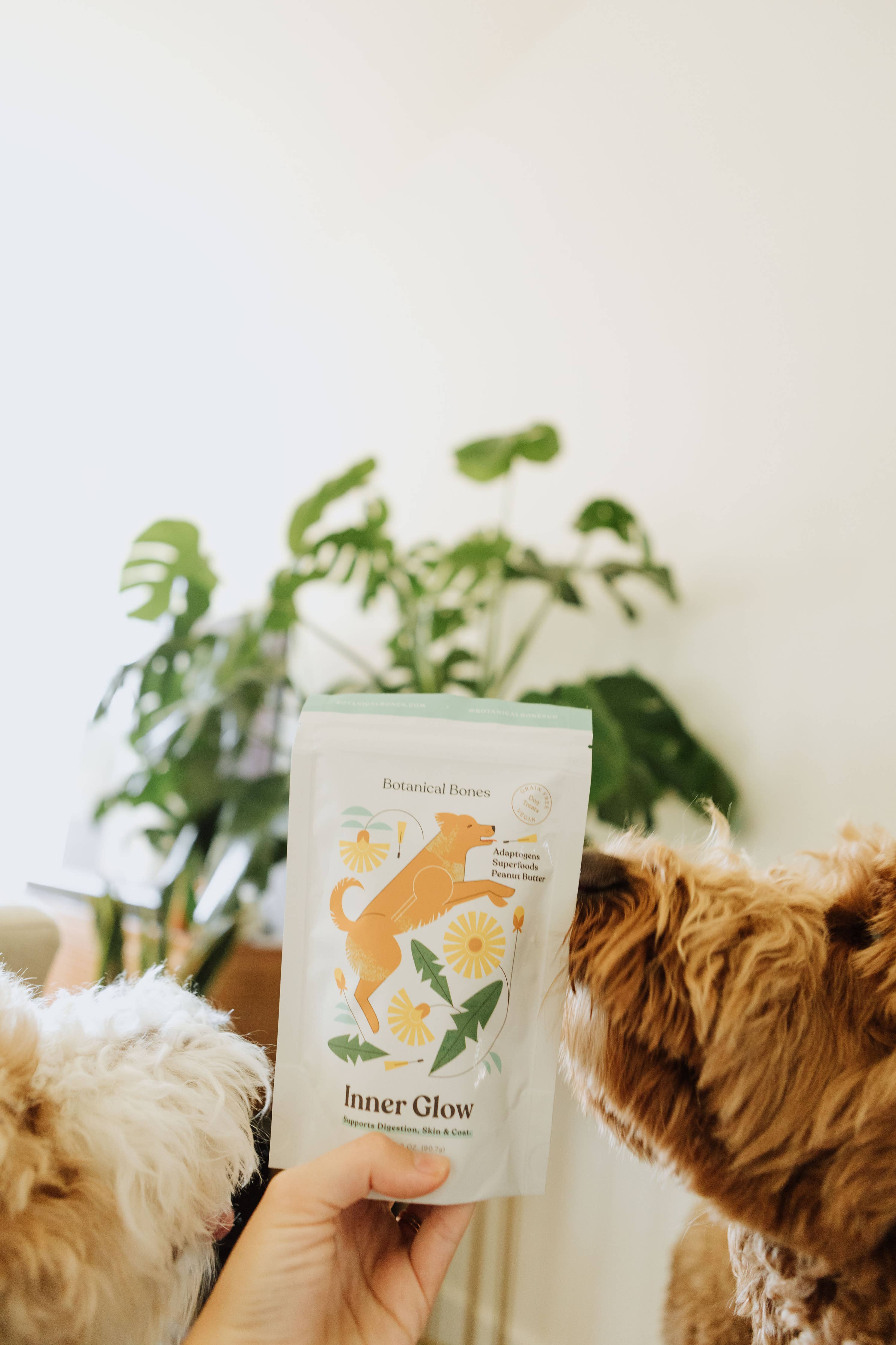 Botanical Bones Inner Glow Cookies - All Natural, Organic Dog Treats 5oz