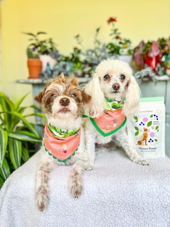 Botanical Bones - Flower Power Cookies - All Natural, Organic Dog Treats 5oz