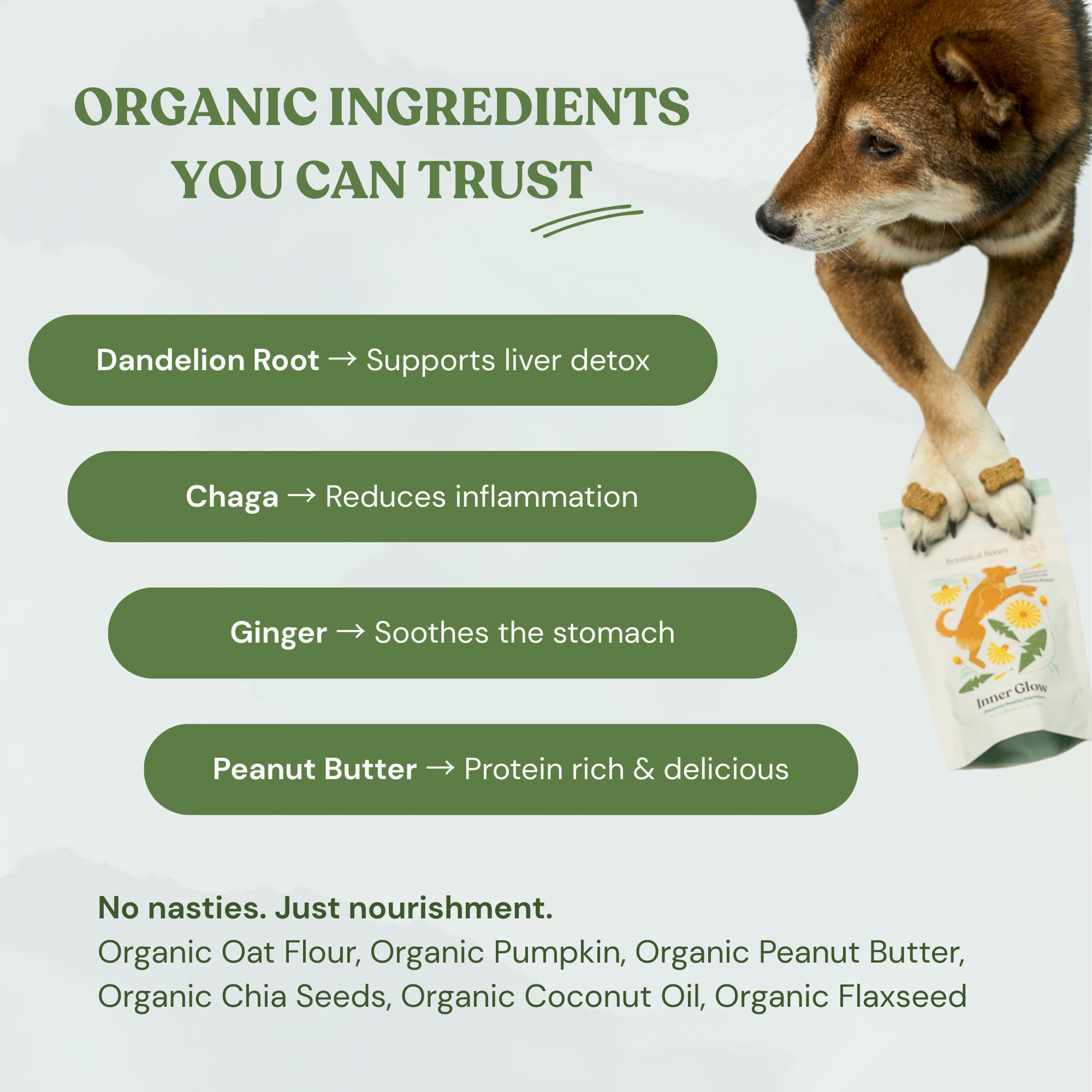 Botanical Bones Inner Glow Cookies - All Natural, Organic Dog Treats 5oz