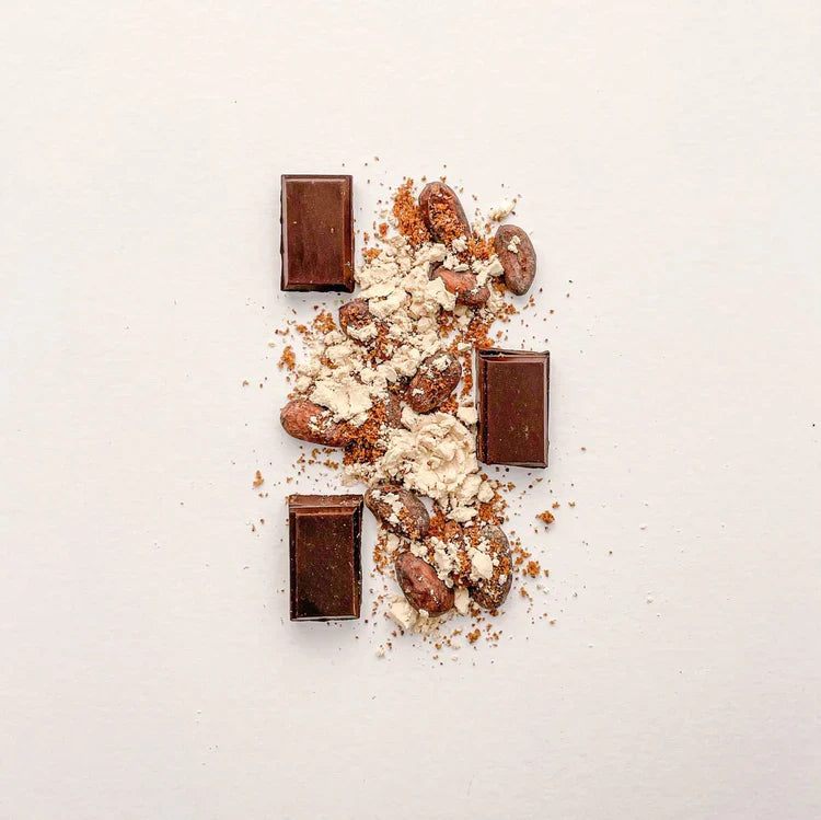Fungible Chocolates® - Functional Turkey Tail Mushroom Dark Chocolate Bar for Immunity (85% cacao)